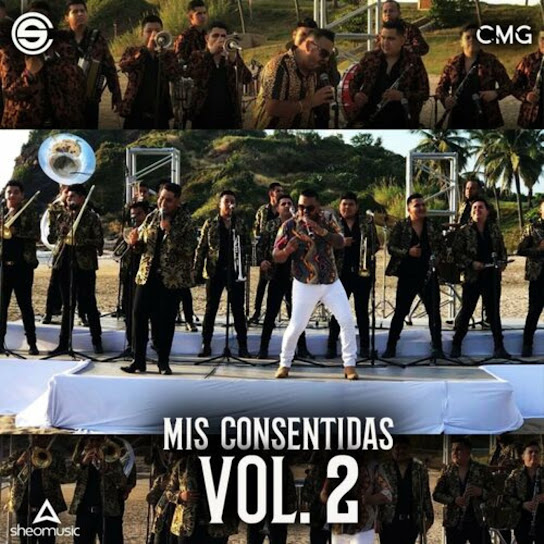 Mis Consentidas Vol. 2