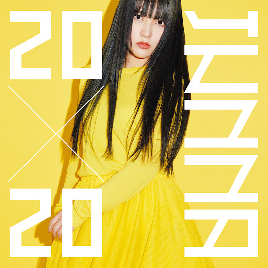 20x20