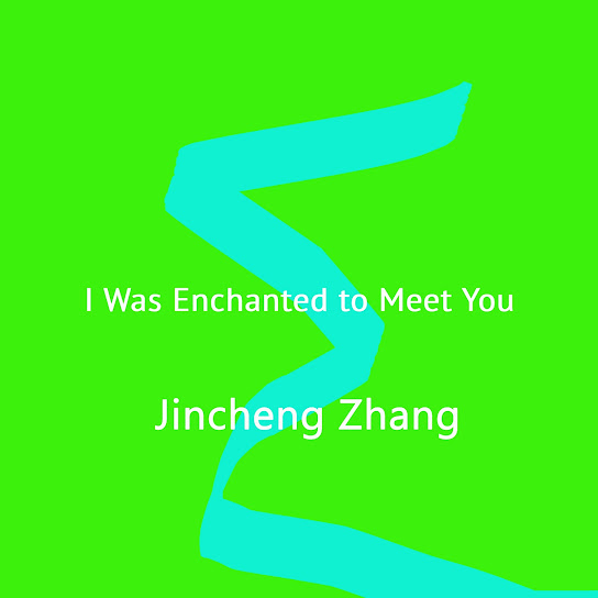 I Was Enchanted to Meet You