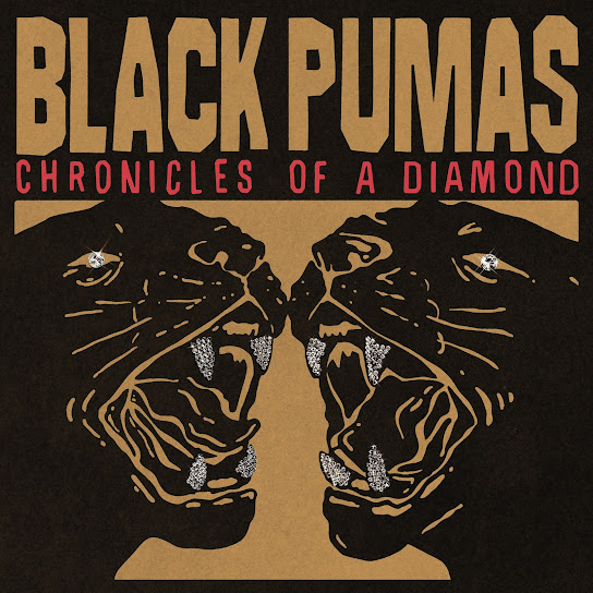 Chronicles of a Diamond