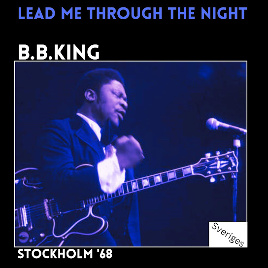 Lead Me Through The Night