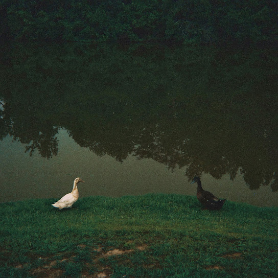 The Subtle Limbo