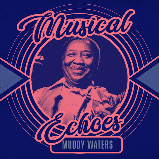 Musical Echoes of Muddy Waters