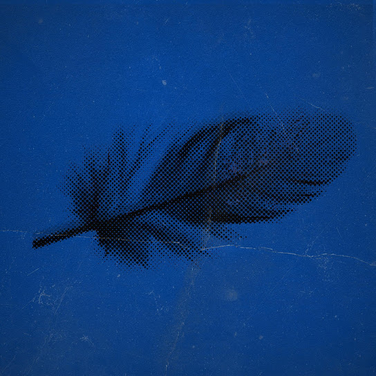 what if you fly?