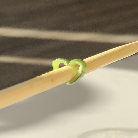 Spring Onions