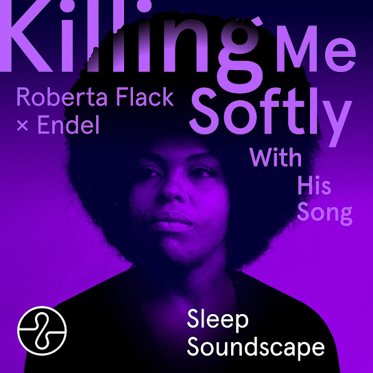 Killing Me Softly With His Song (Endel Sleep Soundscape)
