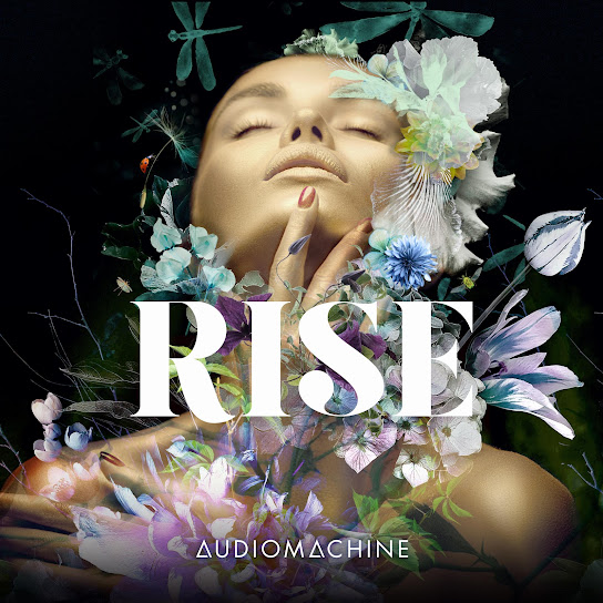 Rise