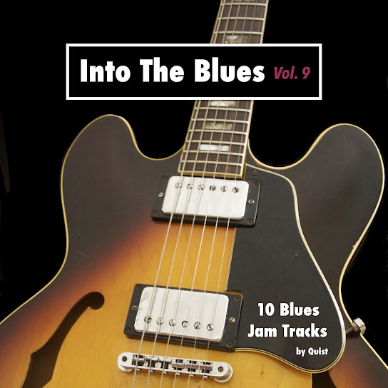 Into The Blues, Vol. 9 - 10 Blues Jam Tracks