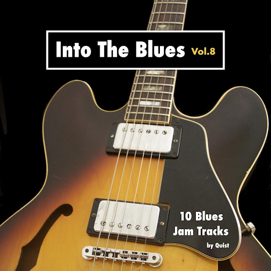 Into The Blues, Vol. 8 - 10 Blues Jam Tracks