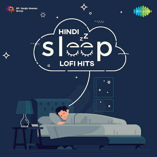 Sanam Hindi Lofi