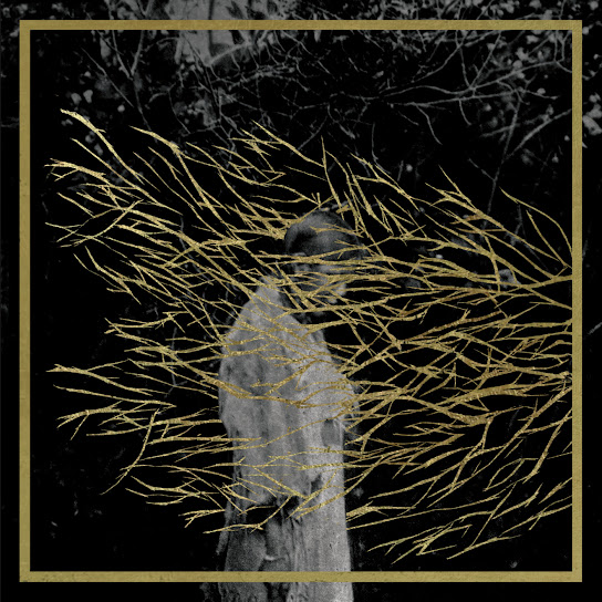 Engravings (2025 Remastered)