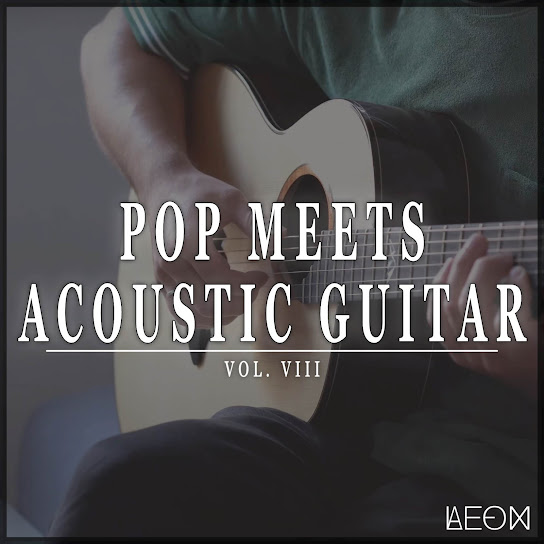 Pop Meets Acoustic Guitar, Vol. 8