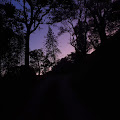 colours in the dark