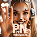 Payasos Ninja P.N