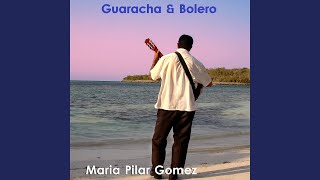Maria Pilar Gomez - Topic