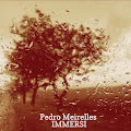 Pedro Meirelles