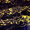 Clams Casino