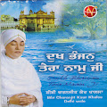 Bibi Charanjit Kaur Khalsa