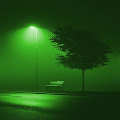Shadows in The Night