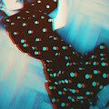 R. Missing