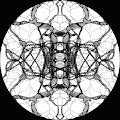 Pfirter