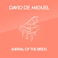 David de Miguel