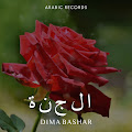 Dima Bashar