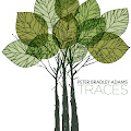Peter Bradley Adams