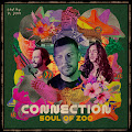 Soul Of Zoo