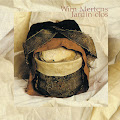 Wim Mertens