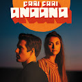 Cari Cari