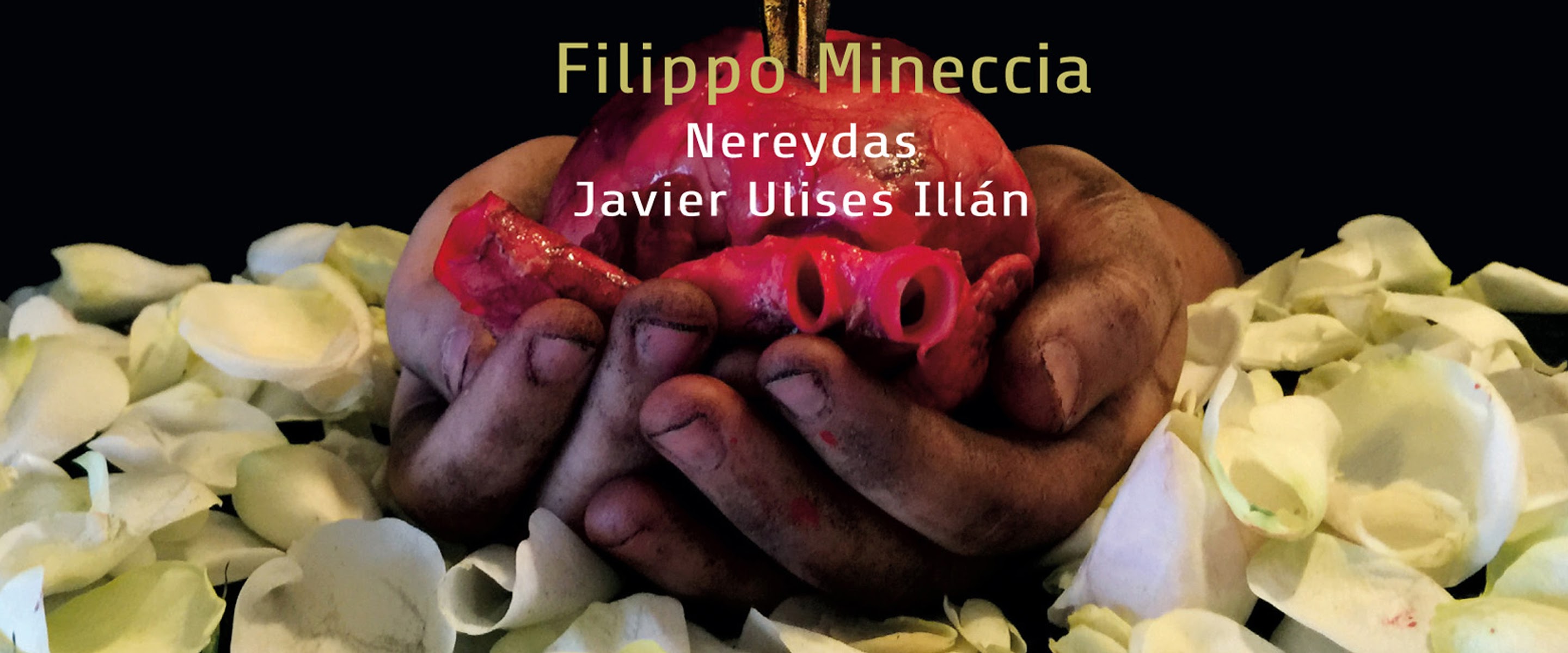 Nereydas