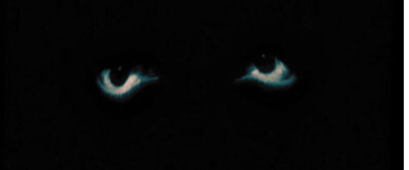 Iseekarlo