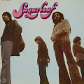 Sugarloaf