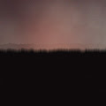 Common Moon