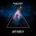 Blank Vision