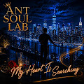 Ant Soul Lab