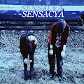 sensacya