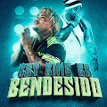 Rey King
