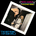 Steve Harley