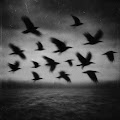 afterlives
