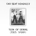 Car Seat Headrest