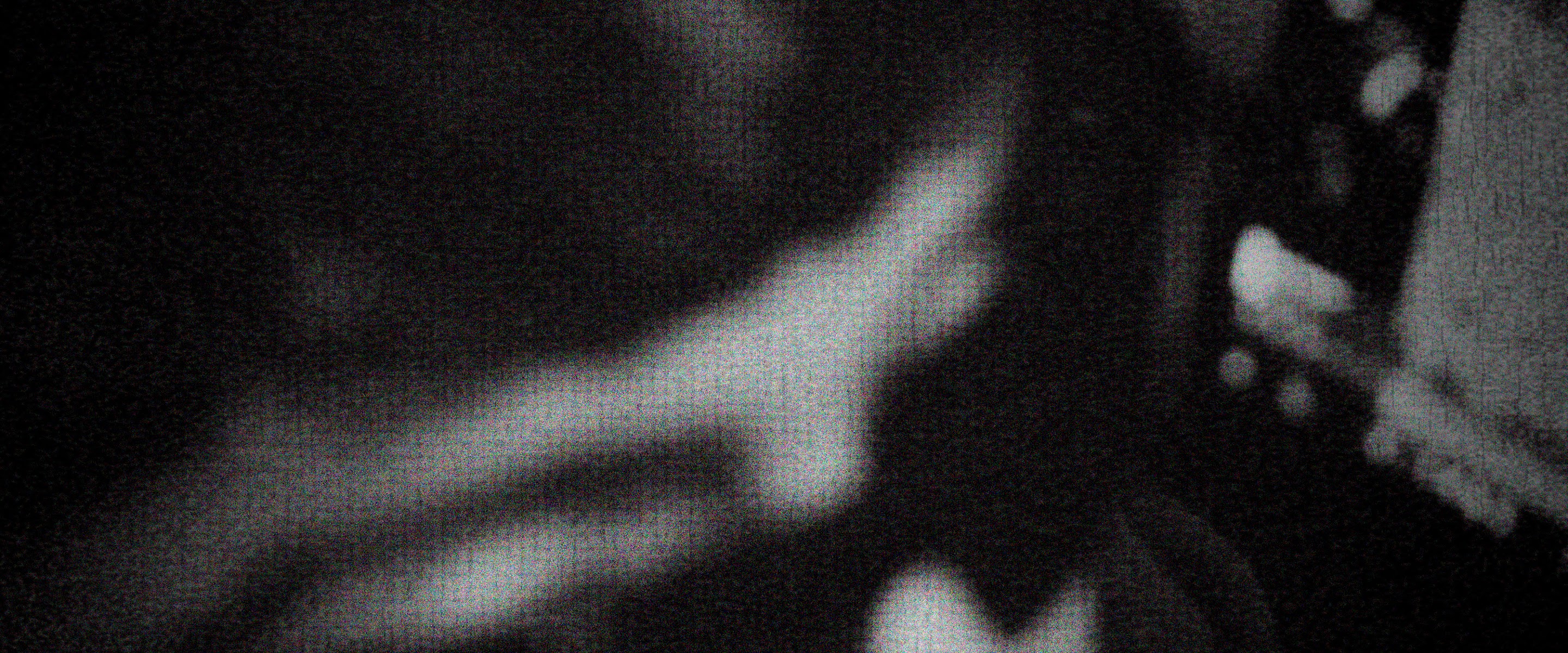 OPYI