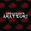 Ambassador