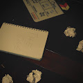 Sarti D