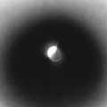 emptyset