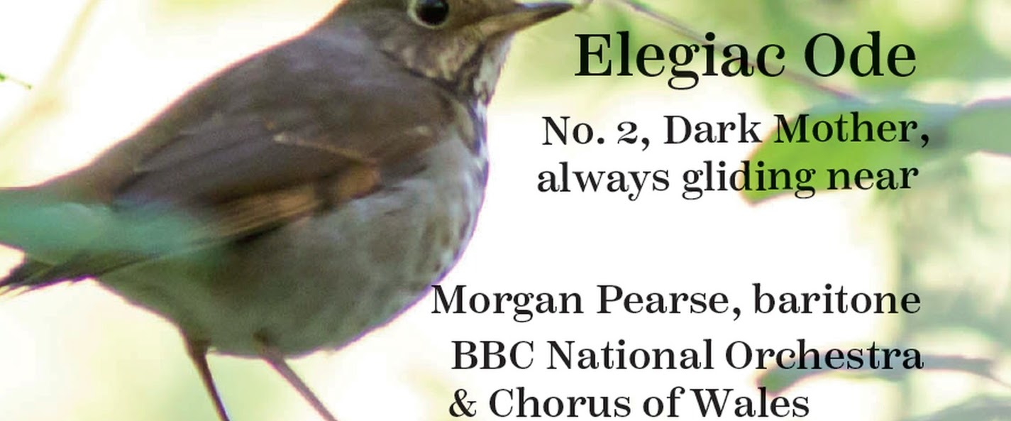 Morgan Pearse