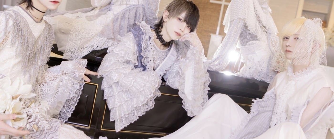 . DOLL