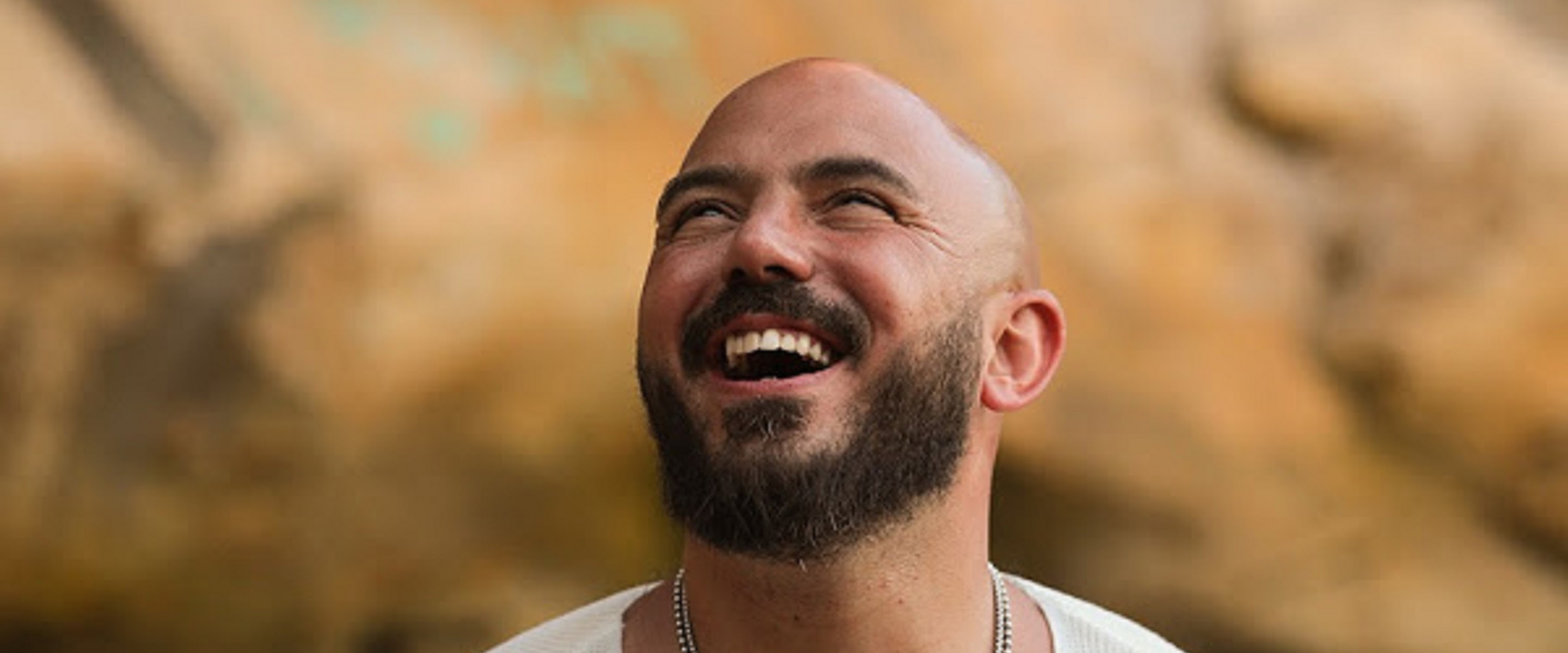 Mahmoud El Esseily