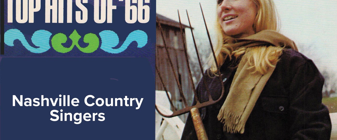 The Nashville Country Singers